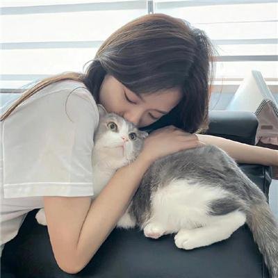 我的同桌是校花